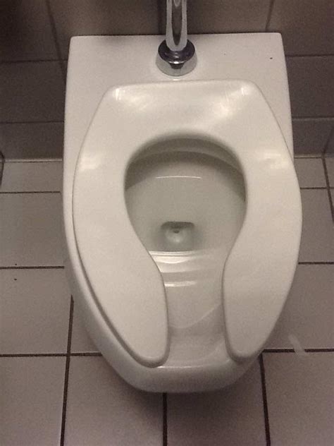 This Is Why Public Toilet Seats Are U-Shaped