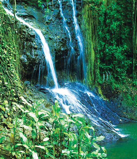 A beautiful view of the waterfall at Latille Falls in St Lucia. | St ...