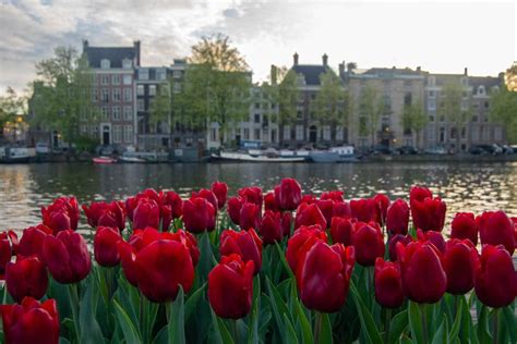 Can Amsterdam be saved from overtourism? Thoughts on sustainable ...