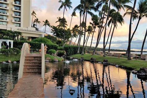 5 Best Reasons to Stay at the Hyatt Regency Maui Resort and Spa ...