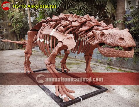 Full Size Ankylosaurus Skeleton Replica - Xdinosaurs