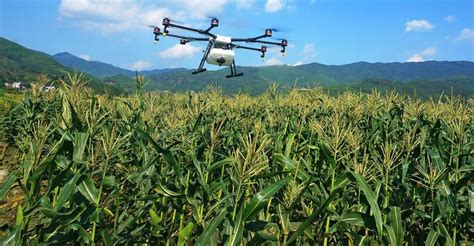 Drones for Agriculture – Current Applications | Emerj Artificial Intelligence Research