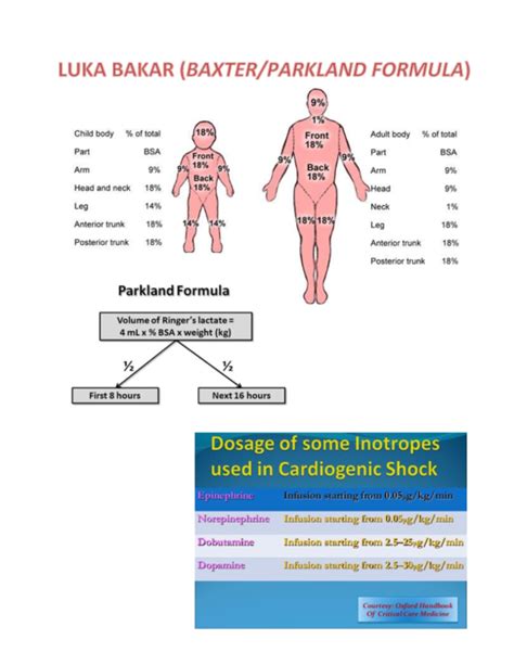 (DOC) LUKA BAKAR (BAXTER/PARKLAND FORMULA | Christian Purba - Academia.edu