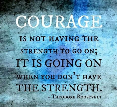 Theodore Roosevelt Quotes On Courage. QuotesGram