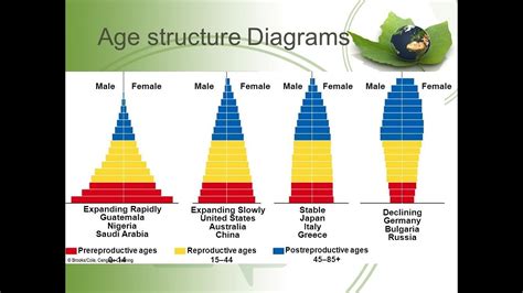 Age Structure Pyramid