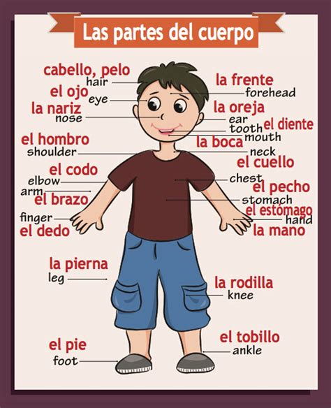 English Classroom Posters, Spanish Classroom Activities, Preschool ...