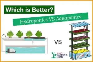 Hydroponics Vs Aquaponics: Which Is The Best? | Smart Garden & Home