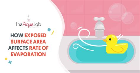 How Exposed Surface Area Affects Rate of Evaporation - Primary School Science Tuition - The ...