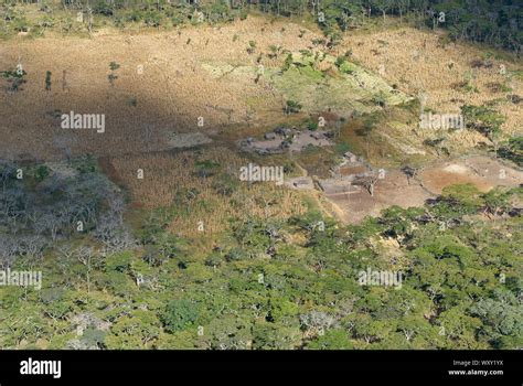 Deforestation of Tanzanian woodlands for tobacco farming Stock Photo - Alamy