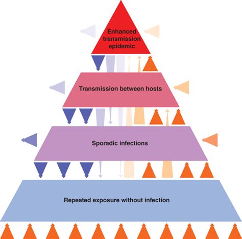 Evolution of Bacterial Pathogens | Veterian Key