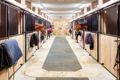 Best Stall Mats For Horses - Horse Meta