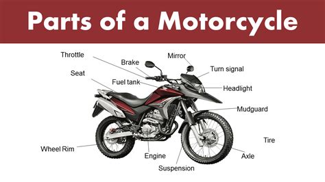 List of Different Parts of a Motorcycle - GrammarVocab