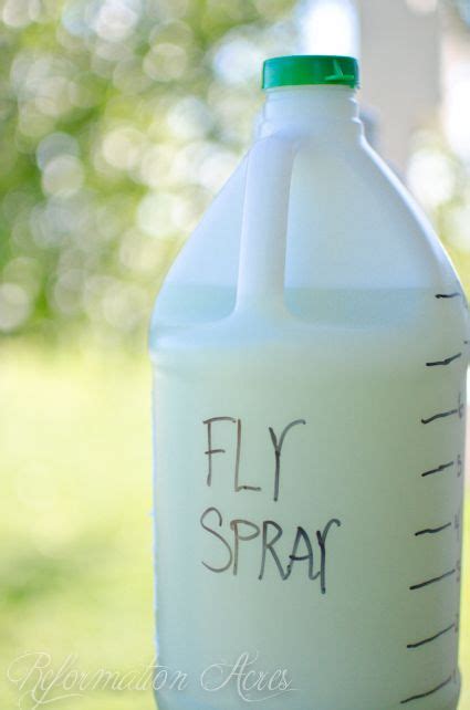 The BEST Homemade Fly Spray (It really works!!!) Fly Repellant Diy, Bug Repellent, Fly Repellant ...