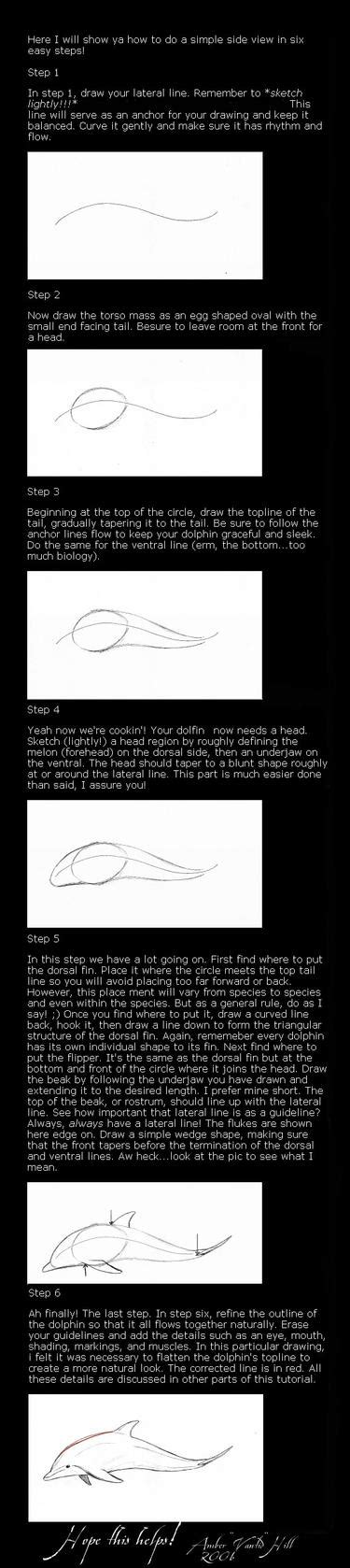 How to Draw a Dolphin by vantid on DeviantArt