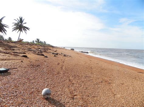 Shell Beach – National Trust