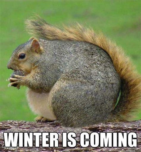 55 Funny Winter Memes That Are Relatable If You Live in the North