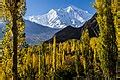 Category:Rakaposhi (Hunza Valley view) - Wikimedia Commons