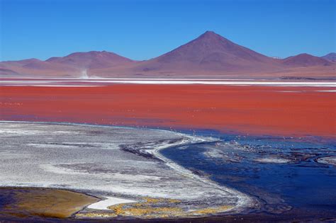 Laguna Colorada | South america travel, Travel south, Cool photos