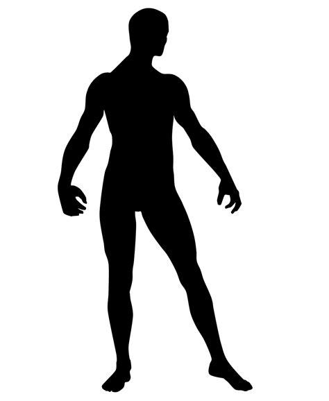 Cuerpo Humano Silueta - Imagen gratis en Pixabay