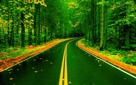 Forest Road Wallpaper - Background Images Road Nature (#348283) - HD Wallpaper & Backgrounds ...