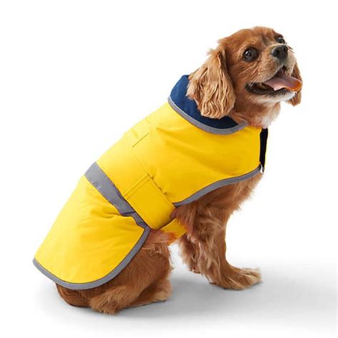 12 Coziest Dog Coats for Winter | The Family Handyman