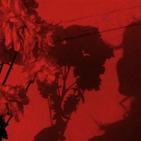 𝓐𝓮𝓼𝓽𝓱𝓮𝓽𝓲𝓬 | Red aesthetic, Red aesthetic grunge, Dark red wallpaper