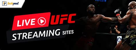 6 Best Free UFC Live Streaming Sites to Watch Fights in 2024