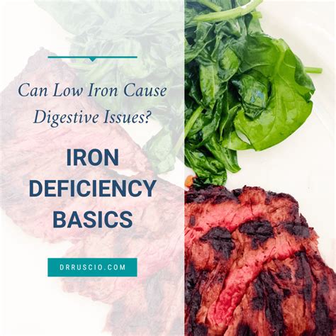 Can low iron cause digestive issues iron deficiency basics – Artofit