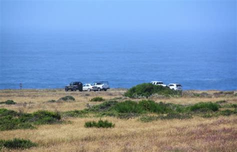 Mendocino Headlands Beaches in Mendocino, CA - California Beaches