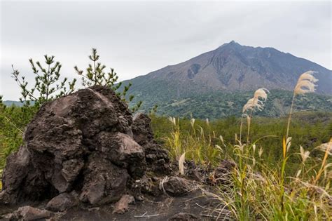 Premium Photo | Japan with sakurajima volcano