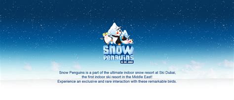 Skid Dubai Snow Penguins on Behance