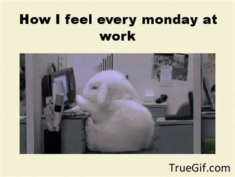 Mondays GIF - Find & Share on GIPHY