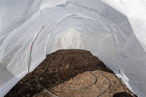 How to Make a Polytunnel that Will Last Forever (& 5 Reasons You Need One)