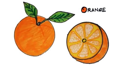 how to draw an orange | Easy drawing for kids | Online drawing tutorial ...