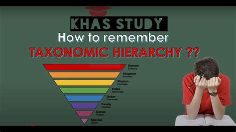 BIOLOGY EASY TRICK 🤓👏🤑🔥👍 TAXONOMIC HIERARCHY/ HOW TO LEARN TAXONOMIC HIERARCHY /MNEMONIC /EASY 😎 ...