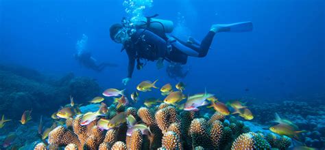 Naama Bay in Sharm El Sheikh, Egypt | Facts diving areas