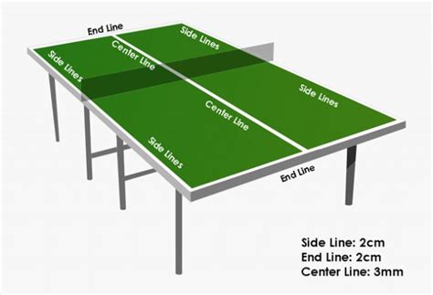 Lernen Sie die Abmessungen einer Tischtennisplatte in voller Größe | Peaceful Place