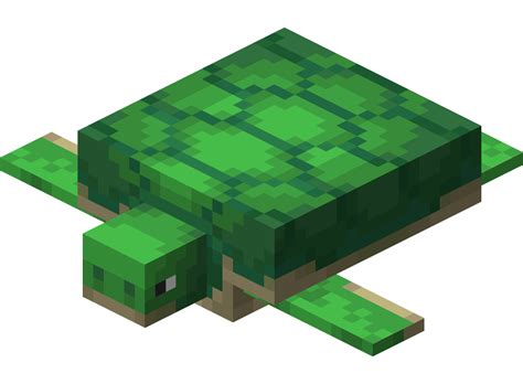 カメ - Minecraft Wiki