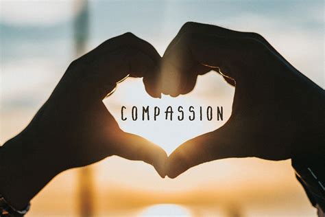 "Compassion" nghĩa là gì: Định Nghĩa, Ví Dụ trong Tiếng Anh