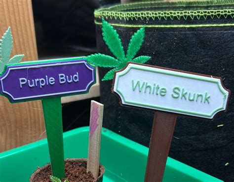 Weed-plant name plate // "Purple Bud"; "White Skunk" // f3d-file by ...