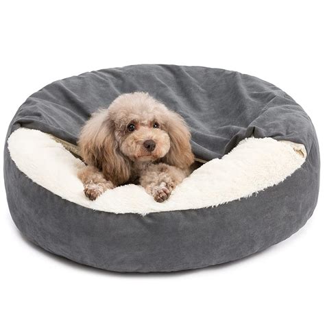 12 Best Burrowing Dog Beds