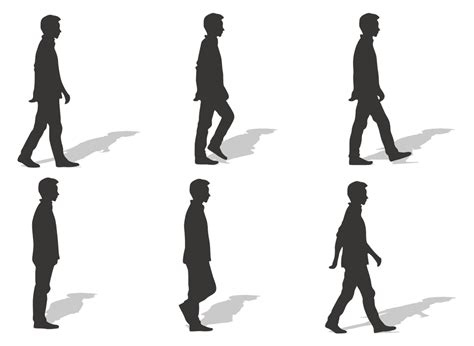 Walk cycle Walking Euclidean vector - Ms. silhouette vector walk png download - 1174*857 - Free ...