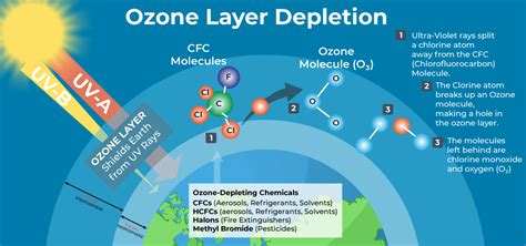 Understanding Stratospheric Ozone - Causes and Effects of Ozone ...