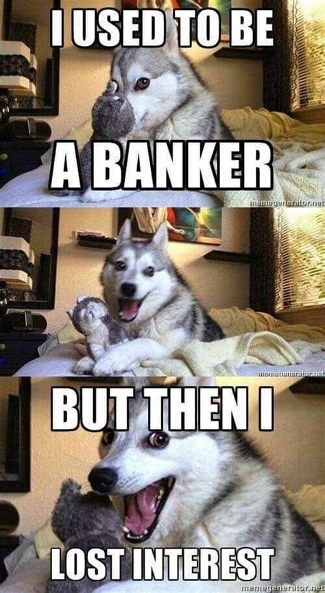 Funny Husky Meme, Funny Dog Jokes, Dog Puns, Puns Jokes, Corny Jokes, Funny Animal Quotes, Crazy ...