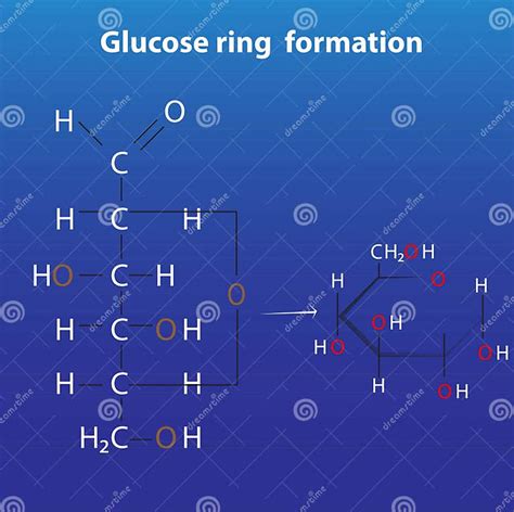 Glucose Ring Formation Anomers of Glucose Stock Vector - Illustration of medication, energy ...