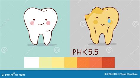 Healthy Teeth and Tooth Decay Stock Vector - Illustration of enamel ...