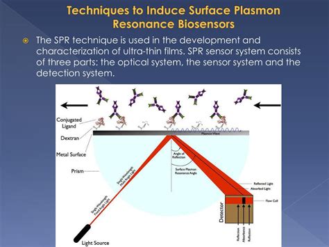 PPT - Surface Plasmon Resonance Biosensors PowerPoint Presentation ...