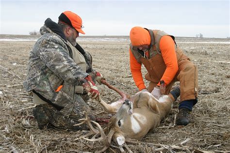 9 Best Skinning Knife - Make Your Hunting Enjoyable!