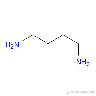 Putrescine Structure - C4H12N2 - Over 100 million chemical compounds ...