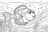 Fish coloring For Children To Print Coloring School  sketch template